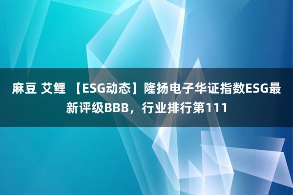 麻豆 艾鲤 【ESG动态】隆扬电子华证指数ESG最新评级BBB，行业排行第111