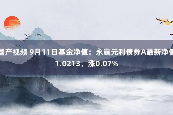 国产视频 9月11日基金净值：永赢元利债券A最新净值1.0213，涨0.07%