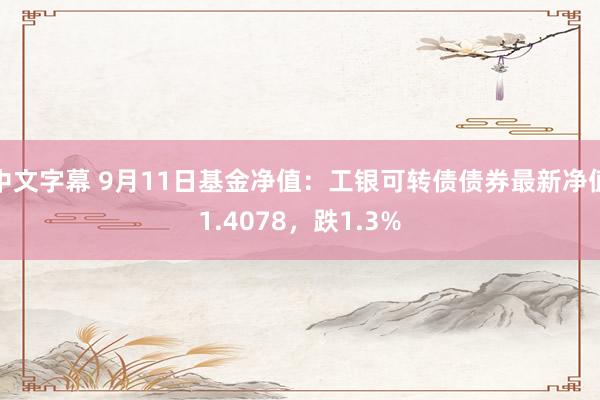 中文字幕 9月11日基金净值：工银可转债债券最新净值1.4078，跌1.3%