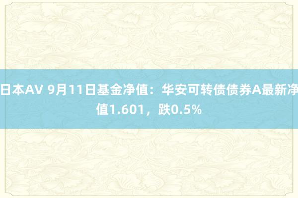 日本AV 9月11日基金净值：华安可转债债券A最新净值1.601，跌0.5%