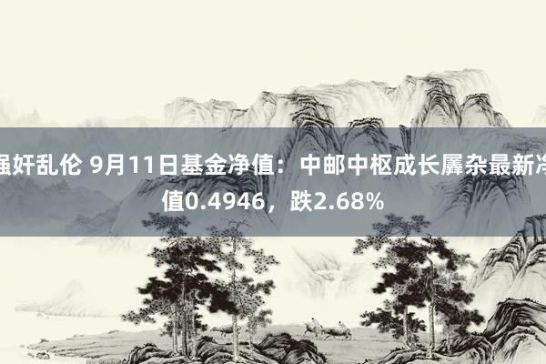 强奸乱伦 9月11日基金净值：中邮中枢成长羼杂最新净值0.4946，跌2.68%