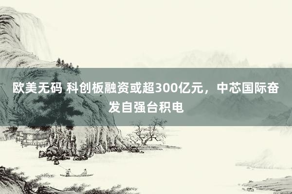 欧美无码 科创板融资或超300亿元，中芯国际奋发自强台积电