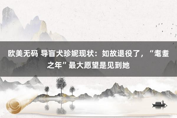 欧美无码 导盲犬珍妮现状：如故退役了，“耄耋之年”最大愿望是见到她