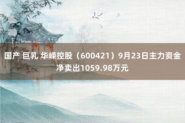 国产 巨乳 华嵘控股（600421）9月23日主力资金净卖出1059.98万元