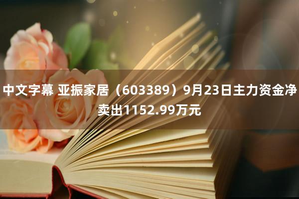 中文字幕 亚振家居（603389）9月23日主力资金净卖出1152.99万元