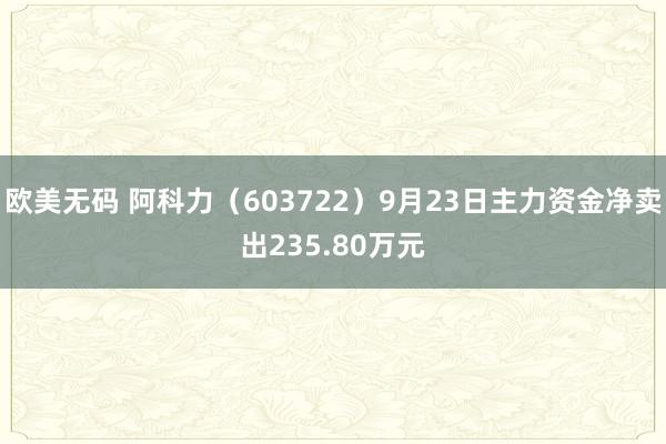 欧美无码 阿科力（603722）9月23日主力资金净卖出235.80万元