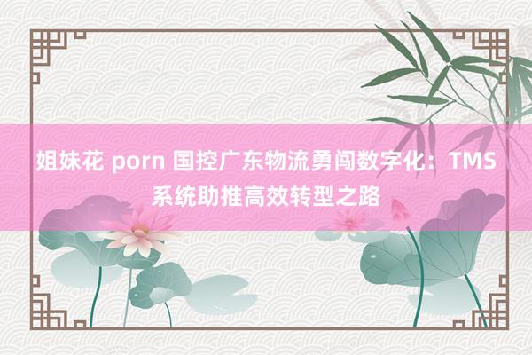 姐妹花 porn 国控广东物流勇闯数字化：TMS系统助推高效转型之路