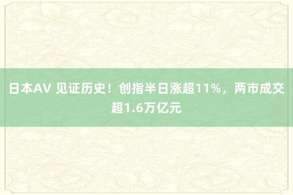 日本AV 见证历史！创指半日涨超11%，两市成交超1.6万亿元