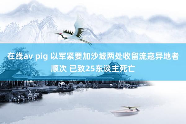 在线av pig 以军紧要加沙城两处收留流寇异地者顺次 已致25东谈主死亡