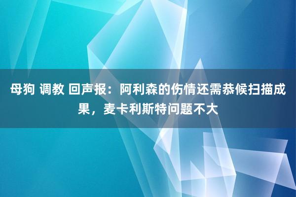 母狗 调教 回声报：阿利森的伤情还需恭候扫描成果，麦卡利斯特问题不大