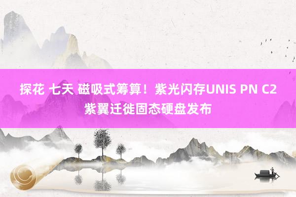 探花 七天 磁吸式筹算！紫光闪存UNIS PN C2紫翼迁徙固态硬盘发布