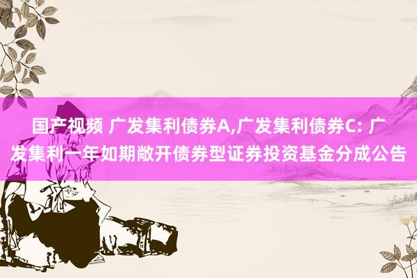 国产视频 广发集利债券A，广发集利债券C: 广发集利一年如期敞开债券型证券投资基金分成公告