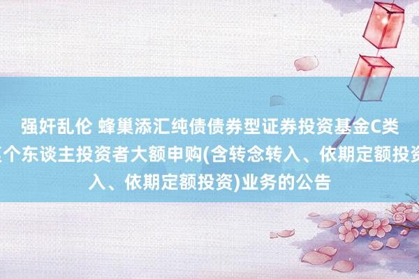 强奸乱伦 蜂巢添汇纯债债券型证券投资基金C类基金份额规复个东谈主投资者大额申购(含转念转入、依期定额投资)业务的公告