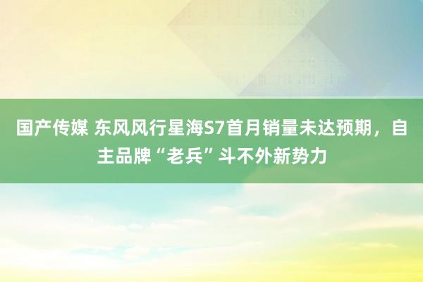 国产传媒 东风风行星海S7首月销量未达预期，自主品牌“老兵”斗不外新势力