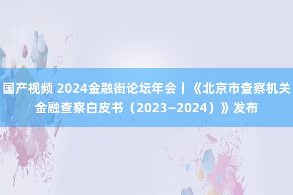 国产视频 2024金融街论坛年会丨《北京市查察机关金融查察白皮书（2023—2024）》发布