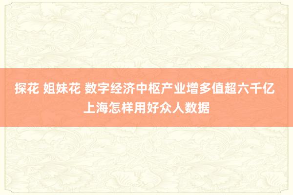 探花 姐妹花 数字经济中枢产业增多值超六千亿 上海怎样用好众人数据