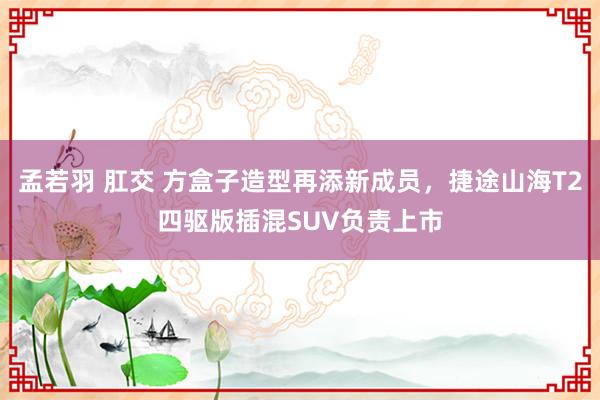 孟若羽 肛交 方盒子造型再添新成员，捷途山海T2四驱版插混SUV负责上市