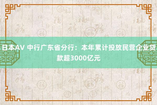 日本AV 中行广东省分行：本年累计投放民营企业贷款超3000亿元