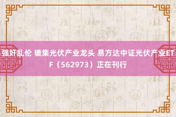 强奸乱伦 辘集光伏产业龙头 易方达中证光伏产业ETF（562973）正在刊行