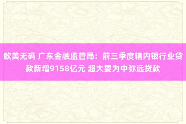 欧美无码 广东金融监管局：前三季度辖内银行业贷款新增9158亿元 超大要为中弥远贷款