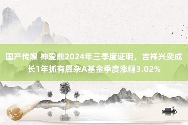 国产传媒 神爱前2024年三季度证明，吉祥兴奕成长1年抓有羼杂A基金季度涨幅3.02%