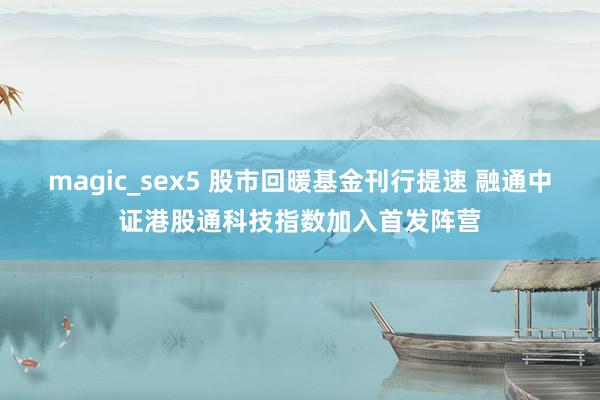 magic_sex5 股市回暖基金刊行提速 融通中证港股通科技指数加入首发阵营