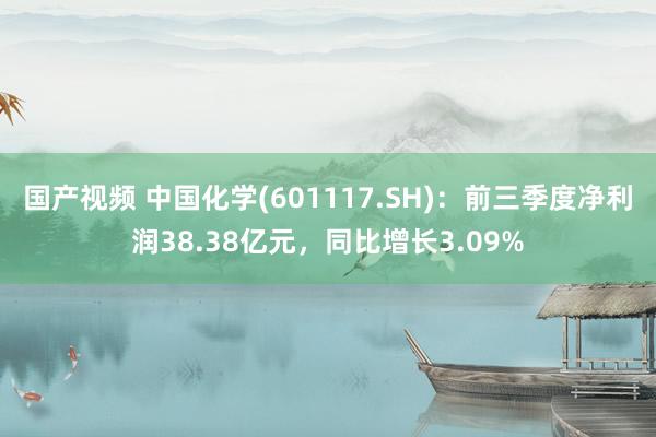 国产视频 中国化学(601117.SH)：前三季度净利润38.38亿元，同比增长3.09%