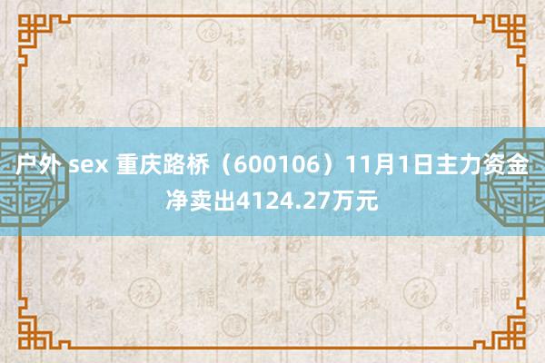 户外 sex 重庆路桥（600106）11月1日主力资金净卖出4124.27万元