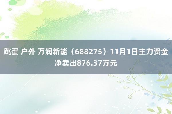 跳蛋 户外 万润新能（688275）11月1日主力资金净卖出876.37万元