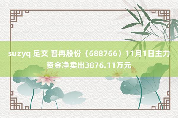 suzyq 足交 普冉股份（688766）11月1日主力资金净卖出3876.11万元