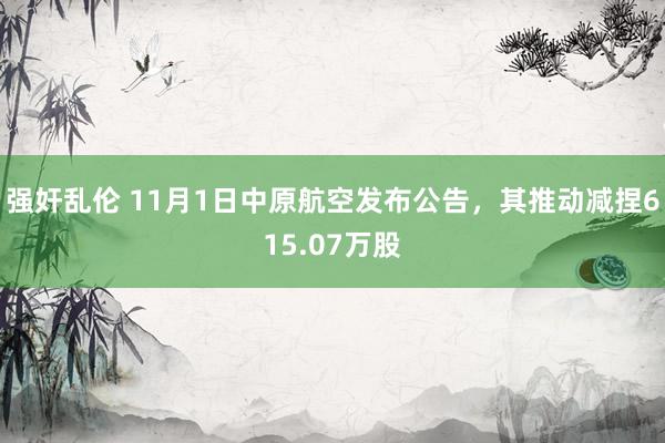 强奸乱伦 11月1日中原航空发布公告，其推动减捏615.07万股