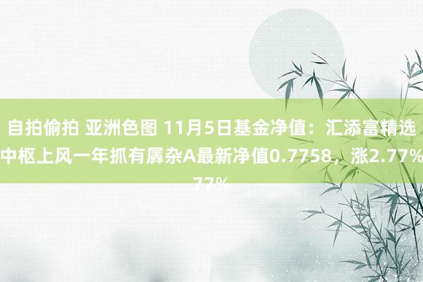 自拍偷拍 亚洲色图 11月5日基金净值：汇添富精选中枢上风一年抓有羼杂A最新净值0.7758，涨2.77%