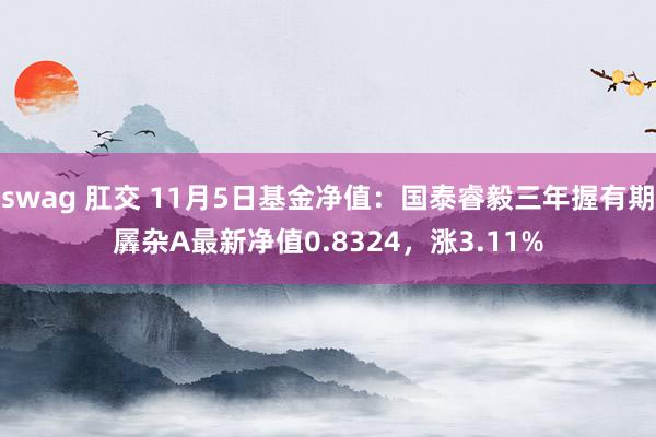 swag 肛交 11月5日基金净值：国泰睿毅三年握有期羼杂A最新净值0.8324，涨3.11%