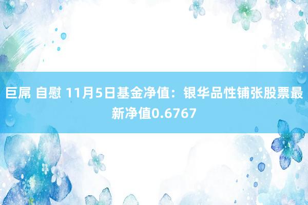 巨屌 自慰 11月5日基金净值：银华品性铺张股票最新净值0.6767