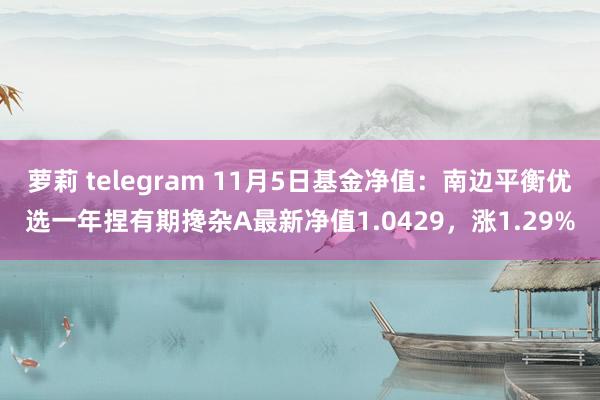 萝莉 telegram 11月5日基金净值：南边平衡优选一年捏有期搀杂A最新净值1.0429，涨1.29%