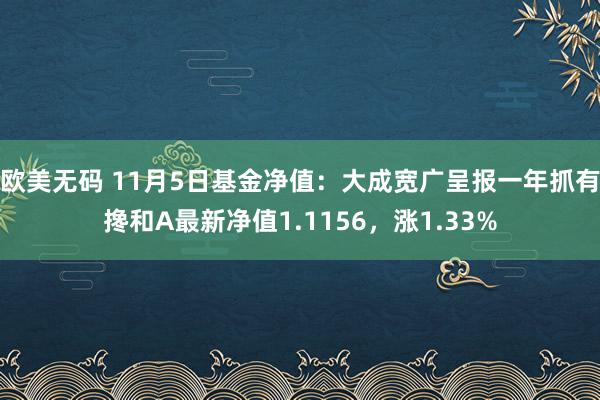 欧美无码 11月5日基金净值：大成宽广呈报一年抓有搀和A最新净值1.1156，涨1.33%