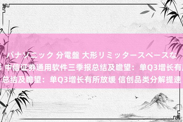 パナソニック 分電盤 大形リミッタースペースなし 露出・半埋込両用形 中信证券通用软件三季报总结及瞻望：单Q3增长有所放缓 信创品类分解提速