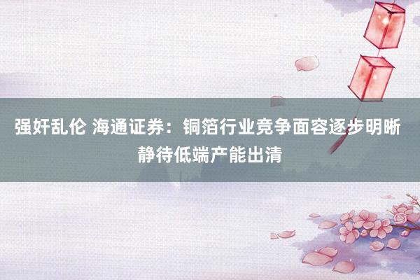 强奸乱伦 海通证券：铜箔行业竞争面容逐步明晰 静待低端产能出清