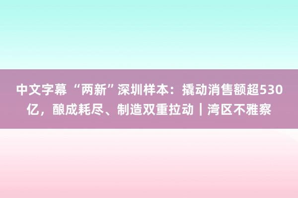 中文字幕 “两新”深圳样本：撬动消售额超530亿，酿成耗尽、制造双重拉动｜湾区不雅察