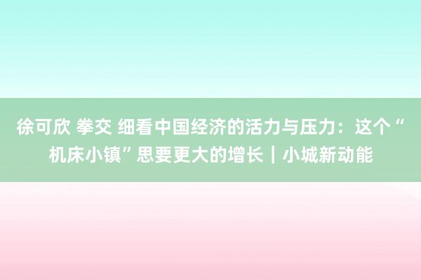 徐可欣 拳交 细看中国经济的活力与压力：这个“机床小镇”思要更大的增长｜小城新动能