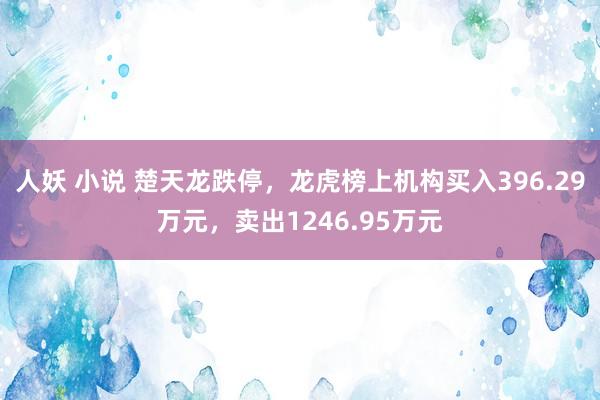 人妖 小说 楚天龙跌停，龙虎榜上机构买入396.29万元，卖出1246.95万元