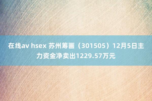 在线av hsex 苏州筹画（301505）12月5日主力资金净卖出1229.57万元