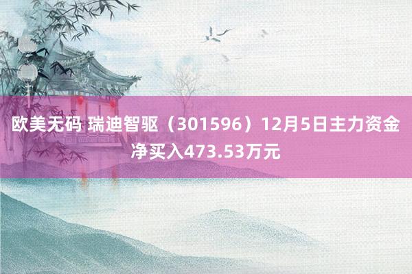 欧美无码 瑞迪智驱（301596）12月5日主力资金净买入473.53万元