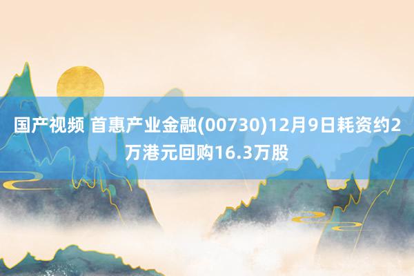 国产视频 首惠产业金融(00730)12月9日耗资约2万港元回购16.3万股