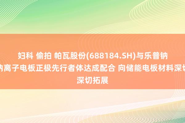 妇科 偷拍 帕瓦股份(688184.SH)与乐普钠电就钠离子电板正极先行者体达成配合 向储能电板材料深切拓展