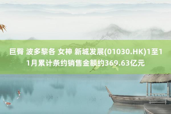 巨臀 波多黎各 女神 新城发展(01030.HK)1至11月累计条约销售金额约369.63亿元