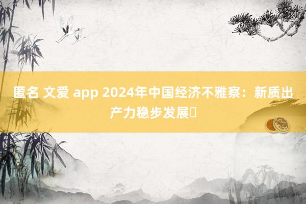 匿名 文爱 app 2024年中国经济不雅察：新质出产力稳步发展​