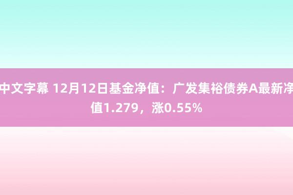 中文字幕 12月12日基金净值：广发集裕债券A最新净值1.279，涨0.55%