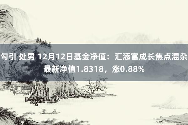 勾引 处男 12月12日基金净值：汇添富成长焦点混杂最新净值1.8318，涨0.88%