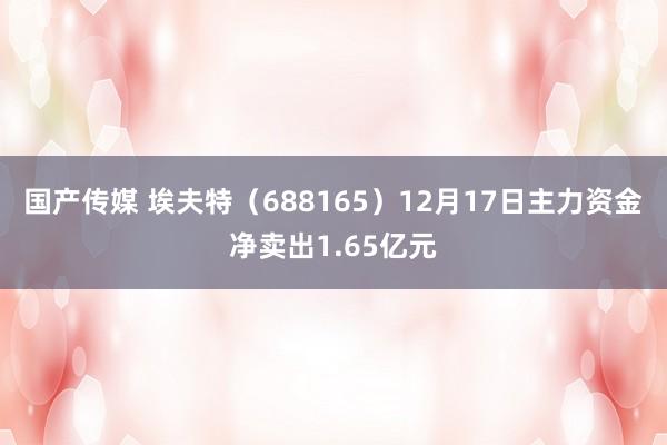 国产传媒 埃夫特（688165）12月17日主力资金净卖出1.65亿元